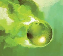 108 - Stinkpot Shot (Euipement) [Pirates of Fire and Steel]