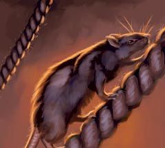 105 - Rats (Treasure) - Pirates of the Barbary Coast