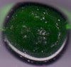 Chessex - Gaming Glass Stones Dark Green