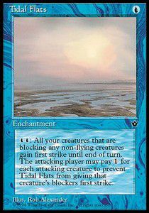 Tidal Flats — Excellent