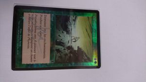 Chemin tranquille — Near Mint