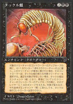 Takklemaggot — 