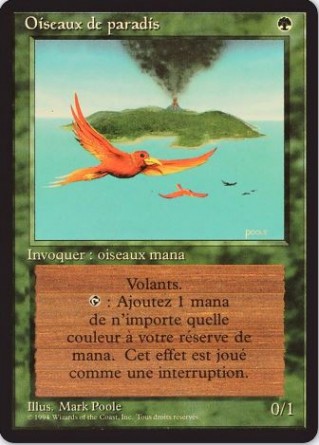 Oiseaux de paradis — Played