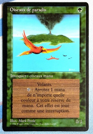 Oiseaux de paradis — Excellent +
