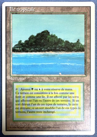 Île tropicale — Excellent