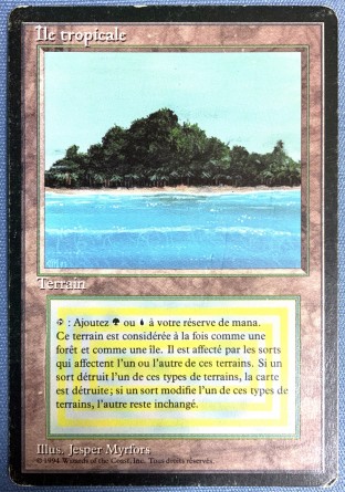 Île tropicale — Poor