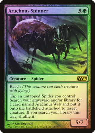 Fileuse arachnus — Excellent