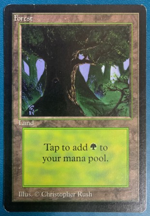 Forest — Excellent