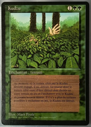 Kudzu — Excellent