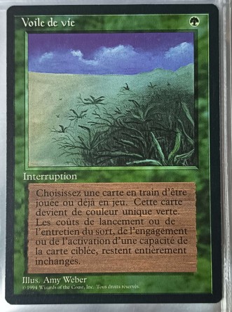 Voile de vie — Good