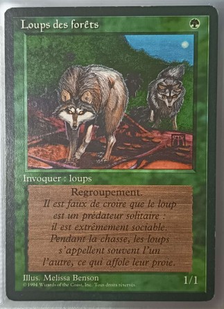 Loups des forêts — Good
