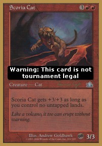 Chat des scories — Poor