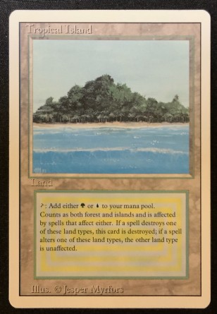 Île tropicale — Excellent