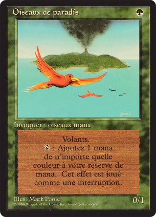 Oiseaux de paradis — Good