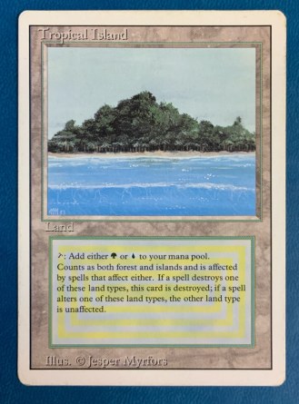 Île tropicale — Good