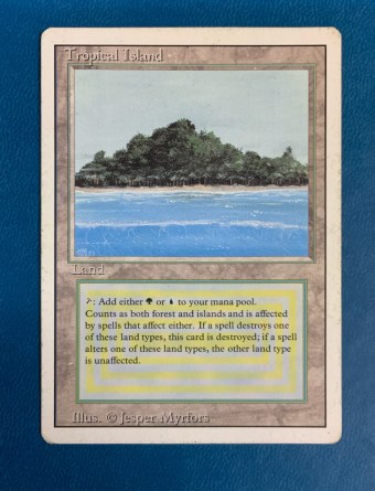 Île tropicale — Good