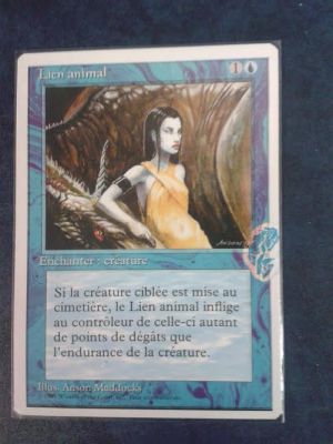 Lien animal — Near Mint