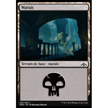 Terrain de base : Marais / Swamp 0