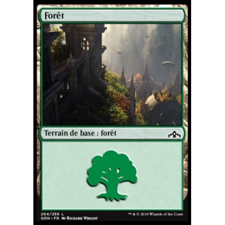 Terrain de base : Forêt / Forest 0