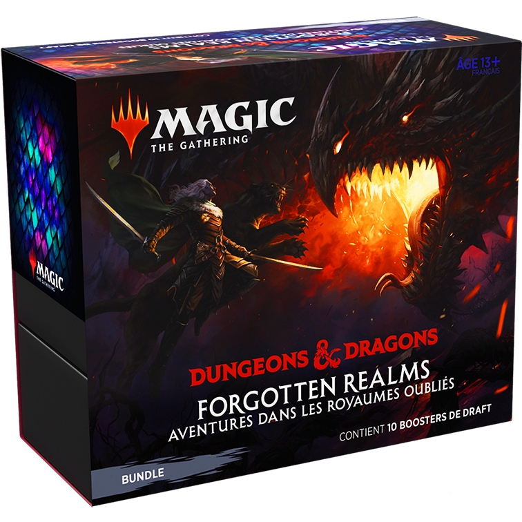 Forgotten Realms : Aventures dans les Royaumes Oubliés - Bundle