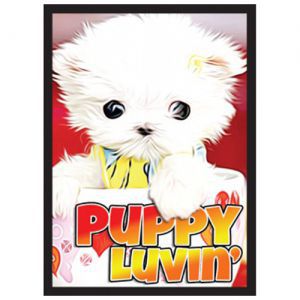 Protèges Cartes illustrées 50 Pochettes - Puppy Luvin