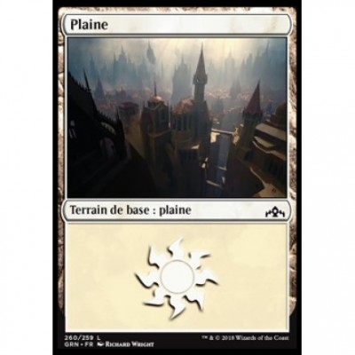  Magic the Gathering Terrain de base : Plaine / Plains