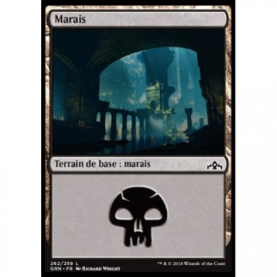  Magic the Gathering Terrain de base : Marais / Swamp