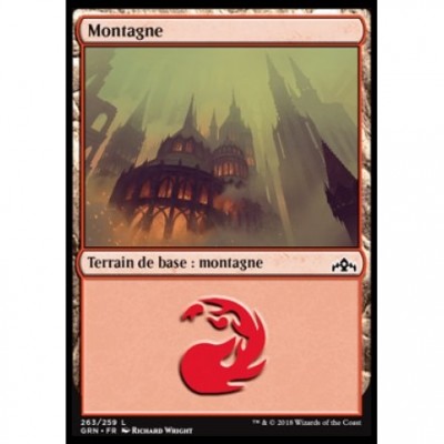  Magic the Gathering Terrain de base : Montagne / Mountain