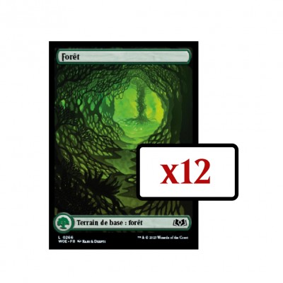 Lot de Cartes Lot de 12 terrains de base - Friches d'Eldraine - Foret