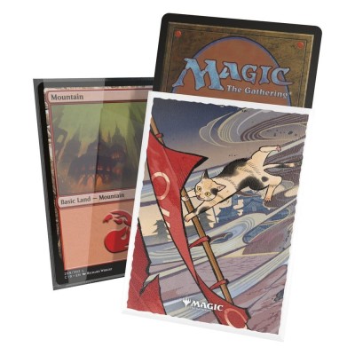 Protèges Cartes illustrées Les secrets de Strixhaven - 100 Pochettes - Faille Cyclonique