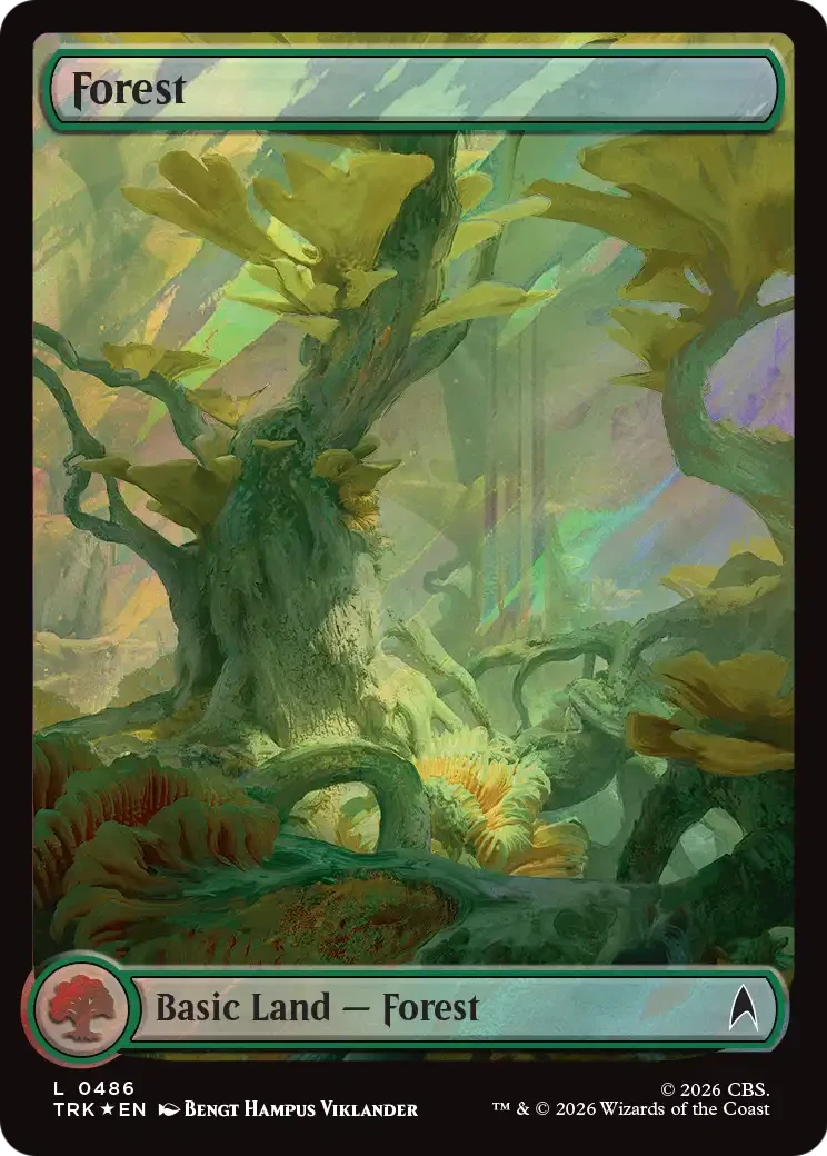 Forest