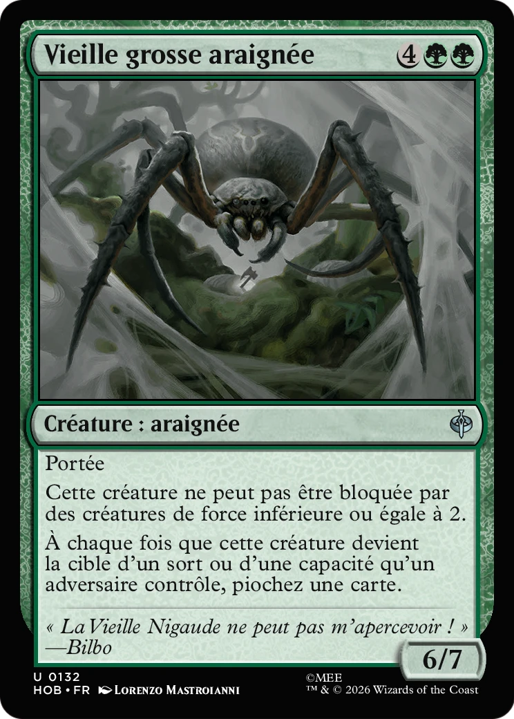 Vieille grosse araignée